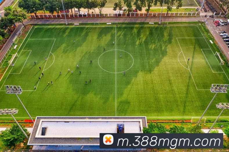 美高梅mgm服务体系