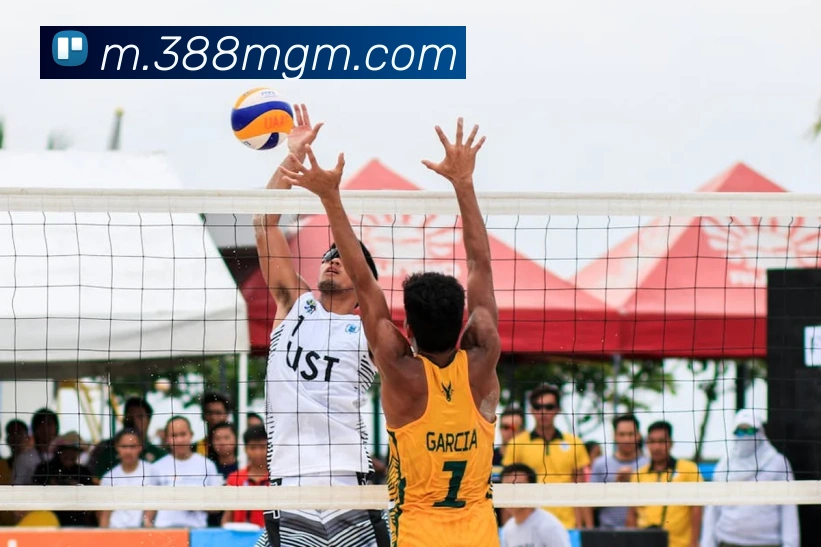 美高梅mgmAPP 体育赛事宣传图